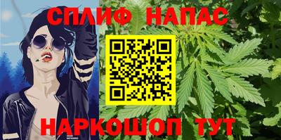 гидропоника Можга