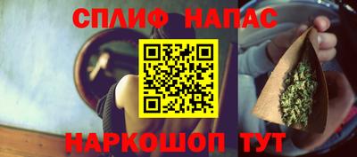 прущие грибы Можайск