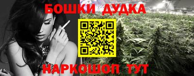 гидропоника Можга