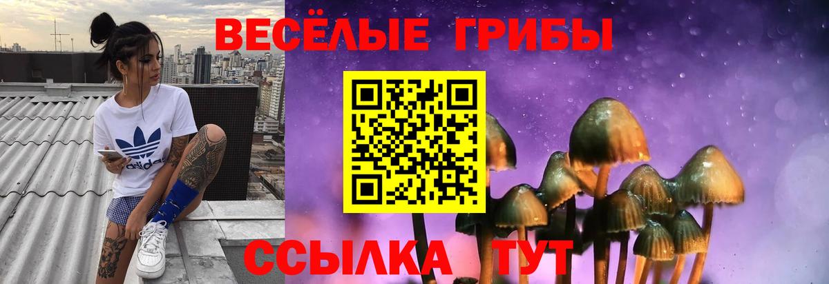 Галлюциногенные грибы GOLDEN TEACHER  Вход с VPN  Троицк 